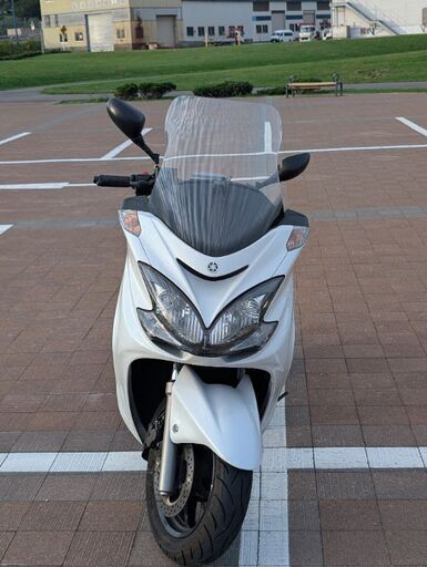 入れ替えの為出品します。9月10日迄