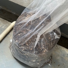 ガーデニング　スコップとフルイと土の画像