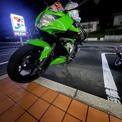 Ninja250sl
の画像