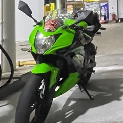 Ninja250sl
の画像