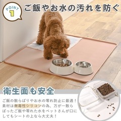 ペットマット　　シリコン製の画像