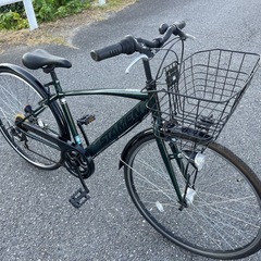★ ステイメン シティサイクルの画像