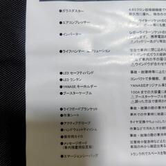 ヤナセ　エマージェンシーキッドBの画像