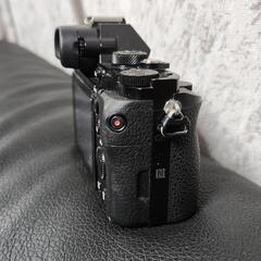 SONY　α7sの画像
