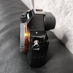 SONY　α7sの画像