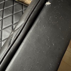 ベッドソファの画像