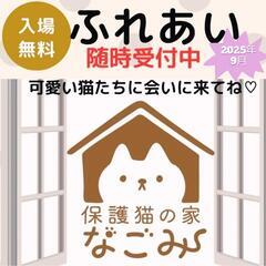 保護猫🐾たちとふれあいませんか？♥♥