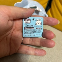 たべっこどうぶつ＆しろたんの画像