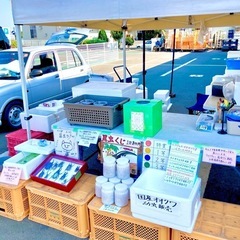 ✨昆虫くじイベント開催感謝御礼✨8/31わいわい市藤沢店