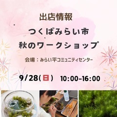 苔テラリウム　ワークショップの画像