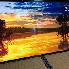 Panasonic TH-49FX750 液晶テレビ 2019年製の画像
