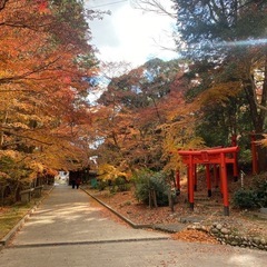 一緒に紅葉行ってくれる人募集！！