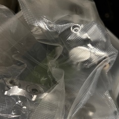 Dトラッカー　全バラの画像