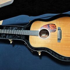 Breedlove DSRH ドレッドノートギター の画像