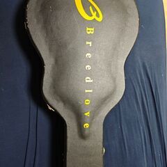Breedlove DSRH ドレッドノートギター の画像