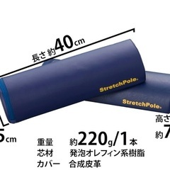 ストレッチポール　ハーフ1つの画像