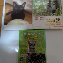 猫に関する感動のお話しの本。の画像