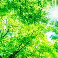 LINE友達募集♬