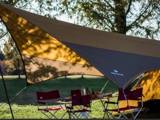 【新品未使用】エントリーパック TT SET-250RH テント、タープセット