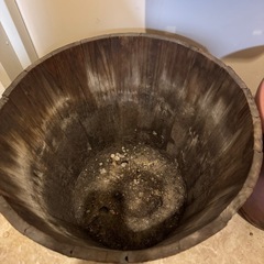 鉢
の画像