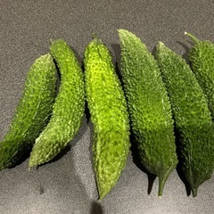 無添加ゴーヤ　家庭菜園　激安❣️バラ売り🉑の画像