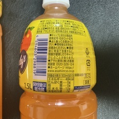 バヤリースオレンジ1.5Lの画像