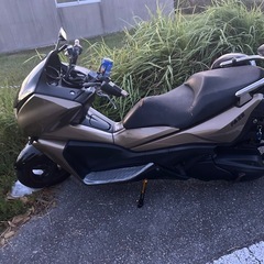ホンダ　フェイズ250 MF11の画像
