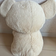 コアラぬいぐるみの画像
