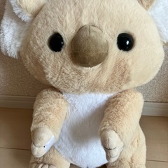 コアラぬいぐるみの画像