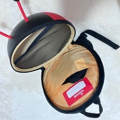 テントウムシ ベビーセットの画像