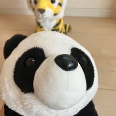 トラとパンダぬいぐるみの画像