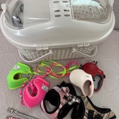 仔猫用ハーネス、リード、リール、キャリーなどの画像