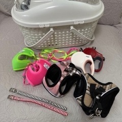 仔猫用ハーネス、リード、リール、キャリーなどの画像