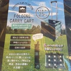 早い者勝ち！FOLDING CARRY CART 折りたたみキャリーカート


の画像