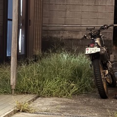雑草ぬき　手伝ってください！　牧之原市落井