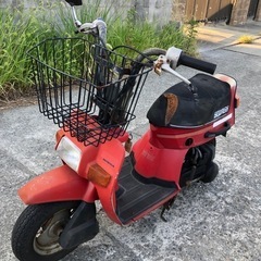ホンダ　スカッシュ　書類付レストアベース車の画像