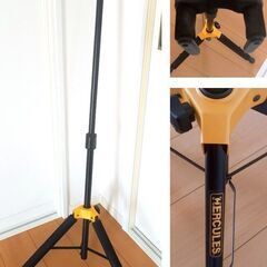 ARIA/アリア　アコースティックベース　FEB-FL LVS　フレットレスベース　ギターハンガー付きです！　の画像