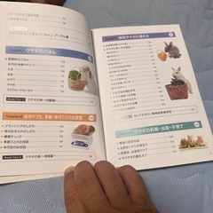 うさぎ本🐰の画像