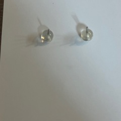 ガーネットピアス  お花の画像
