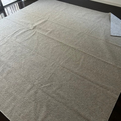絨毯　カーペットの画像