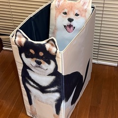 新品未使用。　柴犬収納ボックスの画像