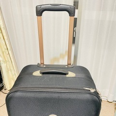 LICORNE スーツケース 60リッターの画像