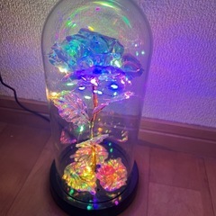決まりました 薔薇モチーフ🥀ライトの画像