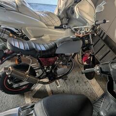 エイプ100の画像