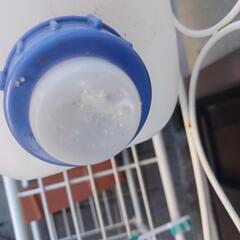 水缶の画像