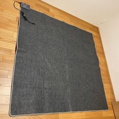 ホットカーペット(ニトリ)の画像