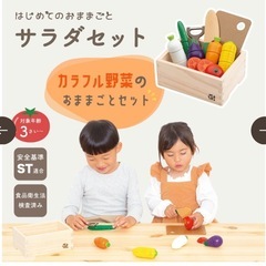 【新品未開封】ウッディプッティサラダセットの画像