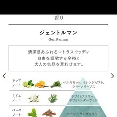 【2個セット
】SABON ジェントルマン ボディスクラブ の画像