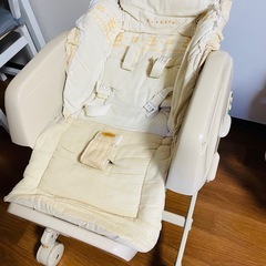 電動バウンサーの画像