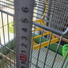 鳥かごの画像